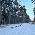 Saunamaja Salmitsu