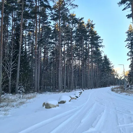 Saunamaja Salmitsu